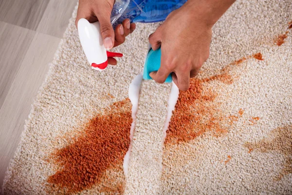 Team of cleaners working