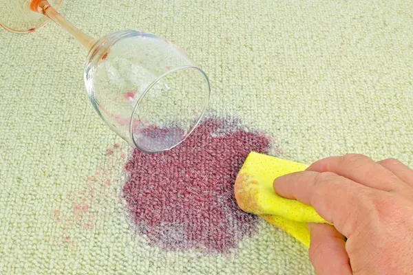 Pet stain odor carpet cleaning Swampscott MA